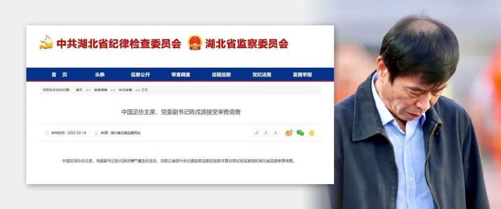 国内精品久久久久精品