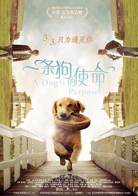 亚洲精品国产第一区第二区国