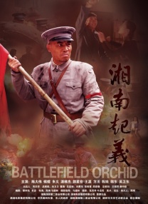 西西444