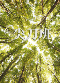 高清影视之家