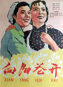 立花琉莉番号大全