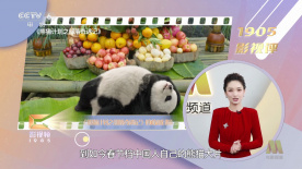 女神级办公女同事